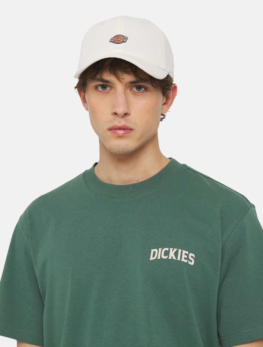 Dickies - Cappellino Da Baseball Hardwick