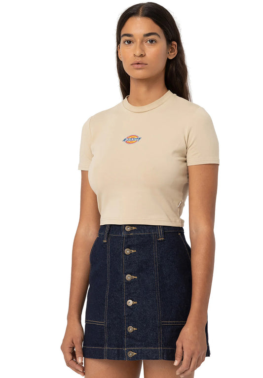 Dickies MAPLE VALLEY TEE - T-shirt basic