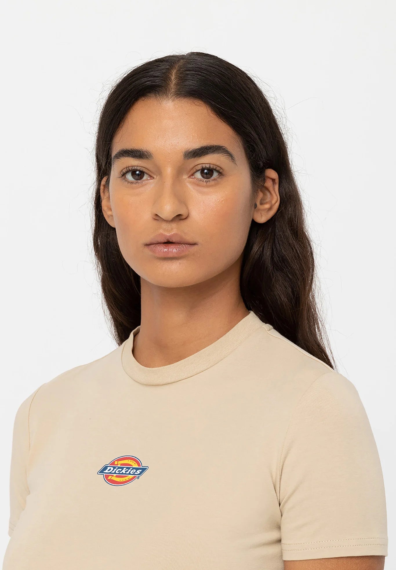 Dickies MAPLE VALLEY TEE - T-shirt basic