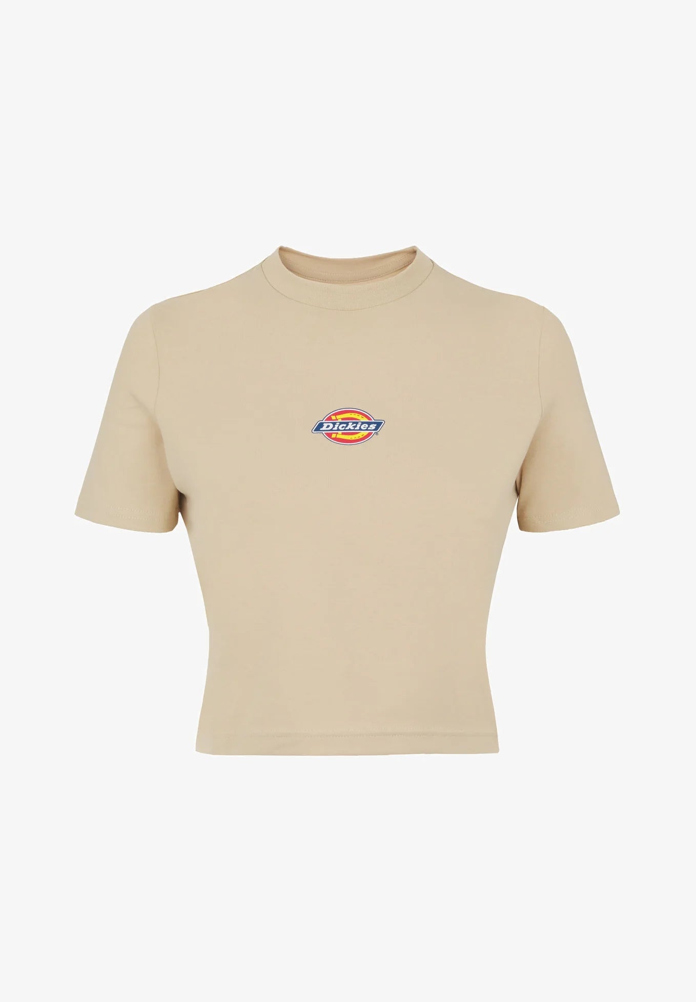 Dickies MAPLE VALLEY TEE - T-shirt basic